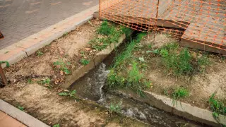 Мектеп оқушысы Алматы әкіміне су басу мәселесін шешу жолын ұсынды