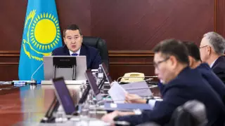 Премьер-министр бірқатар шенеунікті жазалап, комитет басшысын қызметінен босатуды тапсырды