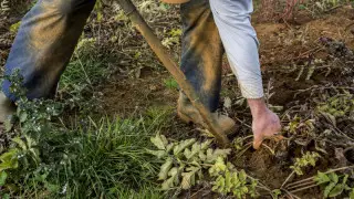 Абай облысында мүгедектігі бар ер адам 12 жыл құлдықта болған