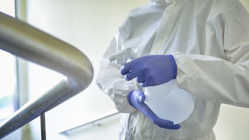 Фото:elements.envato.com