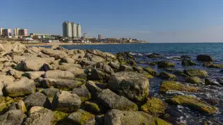 Президент Ақтаудағы құрылыс мәселесі туралы айтты