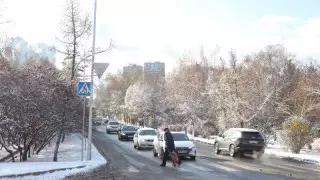 Алматы әкімдігі жүргізушілерге үндеу жасады