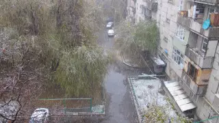 Алматыда алғашқы қар жауды