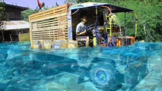 Пхукеттегі туристерге алда келе жатқан қауіп туралы ескертілді