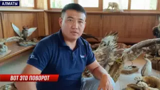 Алматыда автобус апатынан қаза тапқан ер адамның анасы әділдік іздейді