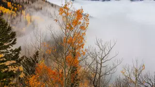 Қазақстанда демалыс күндері ауа райы қандай болады?