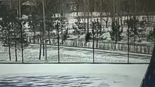 Астанада жасөспірімдер ер адамды ұрып-соғып, тонап кеткен