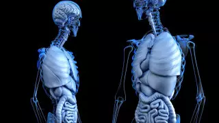 Әуежайда ер адамның асқазанынан бір келі есірткі табылды