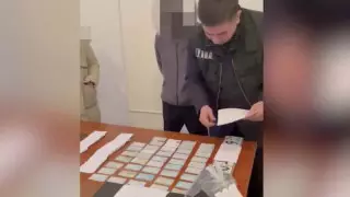 Жамбыл облысында жалған құжат жасаумен айналысқандарға қатысты ресми жауап берілді