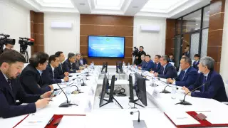 Инвесторлар Жамбыл облысында ферроқорытпа зауытын салуды жоспарлап отыр