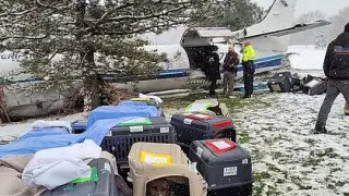 Ұшқыш қозғалтқышы істен шыққан ұшақты апатты жағдайда қондырды