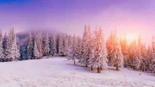 Қар, бұрқасын, жаңбыр. 23 қарашаға арналған ауа райы болжамы