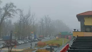 Алматыны жаңбырдан кейін қалың тұман басты