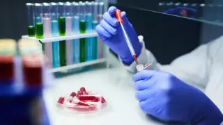 АҚШ елшісі Алматыдағы биозертхана төңірегіндегі қауесетке қатысты пікір білдірді