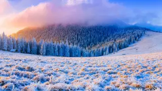 29 қарашаға арналған ауа райы болжамы