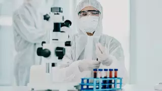 "Цербер" штамы туралы не белгілі? Ажар Ғиният пен Алексей Цой айтып берді