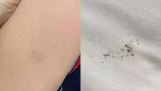 Шымкентте оқушының қолына қалам тығып алған мұғалім жұмысын жалғастырады