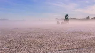 34 градусқа дейін аяз: 8 желтоқсанда ауа райы қандай болады?