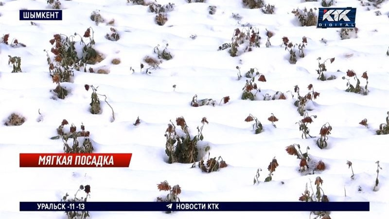 Фото: видео кадры/КТК