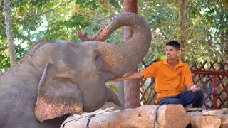 Шри-Ланка барлық COVID-шектеулерін алып тастады