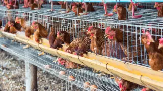 Тоқаев құны 1 триллион теңге болатын жоба туралы айтты