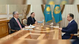 Тоқаев елші Мәлік Мырзалинді қабылдады
