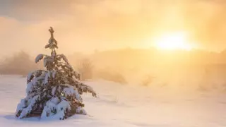 Күн ашық, 30 градус аяз: 14 желтоқсанда ауа райы қандай болады?