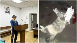 Қонаевта баланың көзінше мысықты өлтірген ер адамға үкім шықты