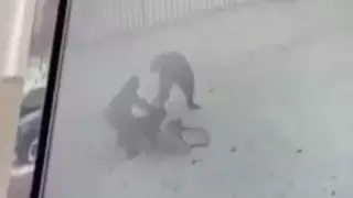 Қостанайда әйелге шабуыл жасаған питбуль иесі жазаланды