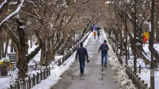 19-25 желтоқсанда Алматыда ауа райы қандай болады?