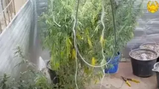 Атырау облысында тұрғыннан 4 келі марихуана тәркіленді