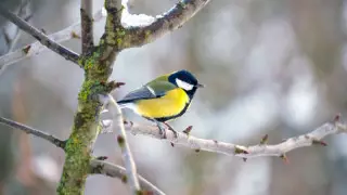 Бүгін 12 өңірде ауа райына байланысты ескерту жарияланды