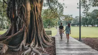 Аустралияның көрнекі жерлерінің біршамасы ақылы болады