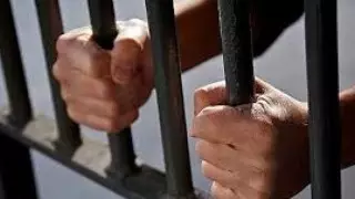 Алимент төлемей жүрген 11 адам қамалды