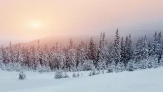 30 градус аяз, қарлы боран. Бүгін ауа райы қандай болады?