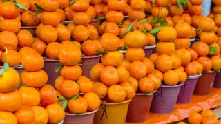 Министр жаңа жылға қарай азық-түлік бағасы қалай өзгергенін айтты