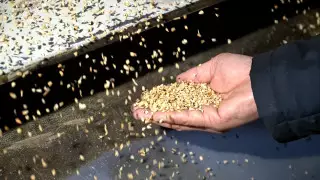 Жамбыл облысындағы өндіріс орындарында БАҚ өкілдеріне арнап пресс-тур өткізілді