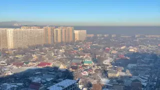 Алматыдағы тұмша видеоға түсірілді