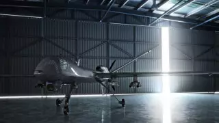 Тоқаев өзіндік ерекшелігі бар тауарларды бақылау туралы заңға қол қойды