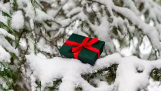 Қарлы боран, тұман және көктайғақ. 29 желтоқсанда ауа райы қандай болады?