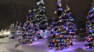 Тұман, көктайғақ. Қазақстанда алдағы күндері ауа райы қандай болады?