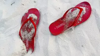 Миға қонымсыз көрінеді. Шетелде тыйым салынған әдеттегі заттар