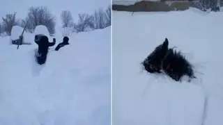 Абай облысында қалың қар жауды