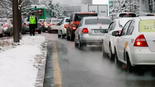 Көлікті ағаш түбіне қалдырмаңыздар! ТЖД алматылықтарға үндеу жасады