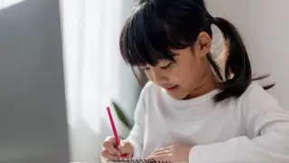 Астанада екінші ауысымдағы мектеп оқушылары қашықтан оқиды