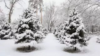41 градусқа дейін аяз. 11 қаңтарда ауа райы қандай болады?