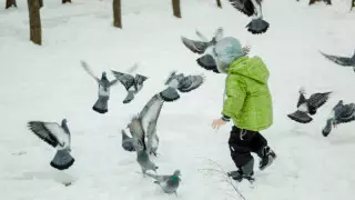 Аяз. 17 қаңтарға арналған ауа райы болжамы