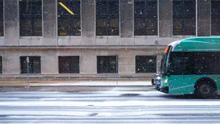 Өзбекстан Қазақстанға автобус рейстерін қайта шығарады