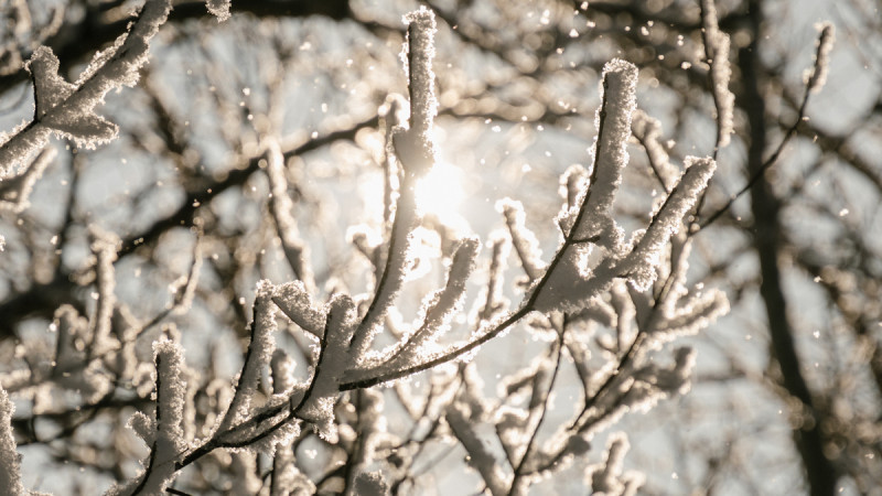 Фото: Tengrinews.kz/Тұрар Қазанпав