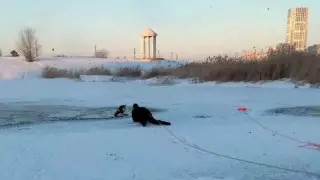 Астана тұрғыны мұзға түсіп кеткен итті құтқарамын деп өзі батып кете жаздады